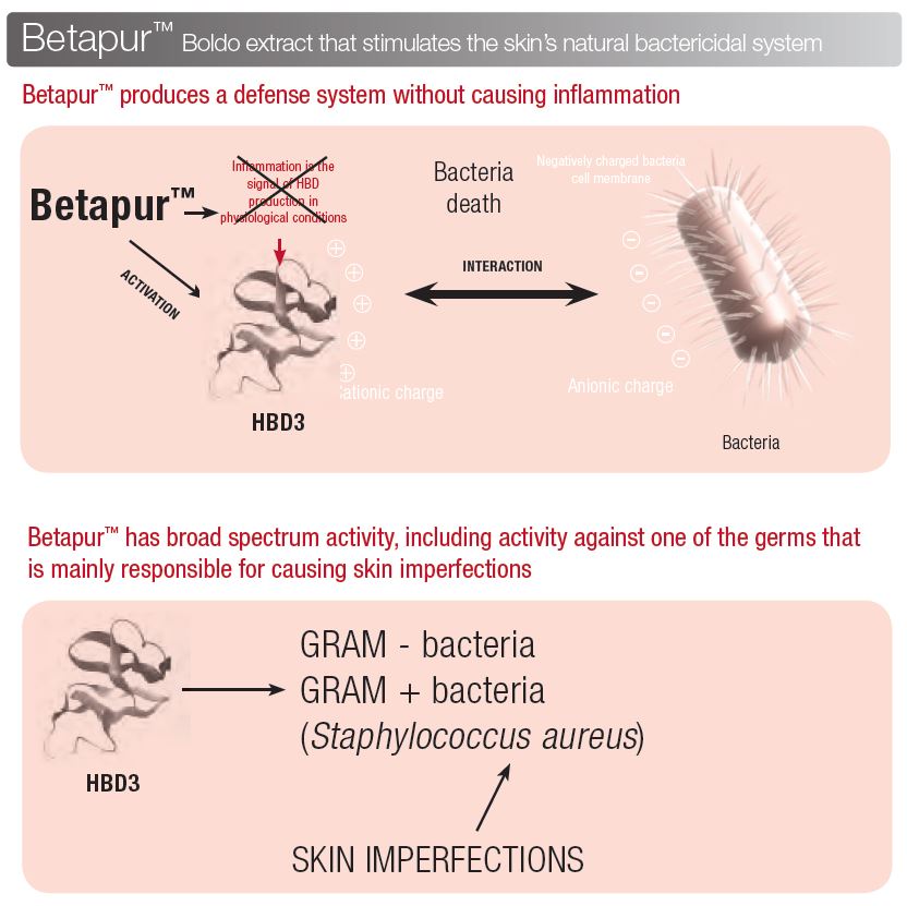 Betapur