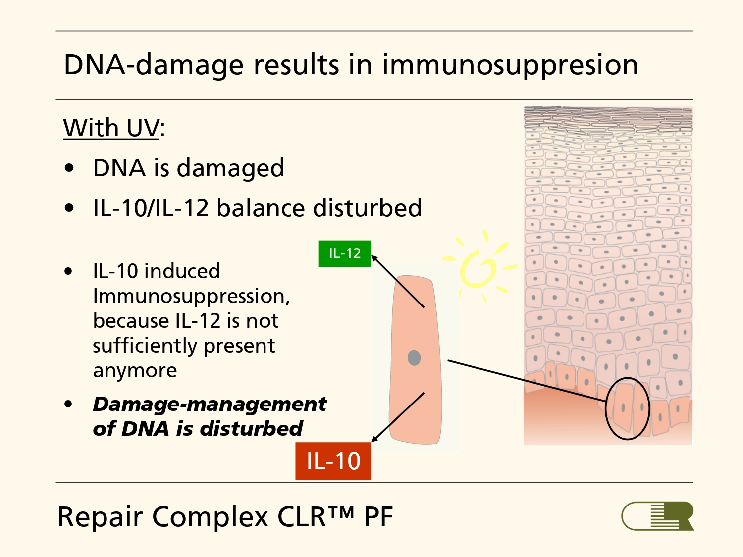 Presentation of Repair Complex PF_page-0005