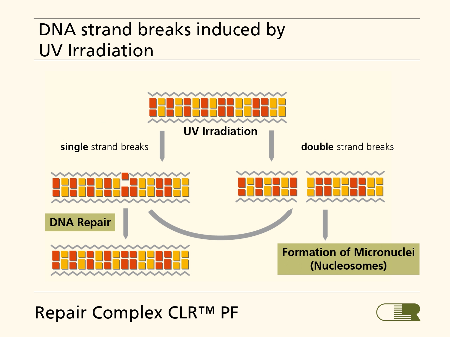 Presentation of Repair Complex PF_page-0010